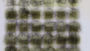 Can an Electroforming Solution Give Your Manufacturing the Precision Edge?