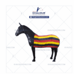 Top Horse Exercise Sheets for All Seasons in Australia