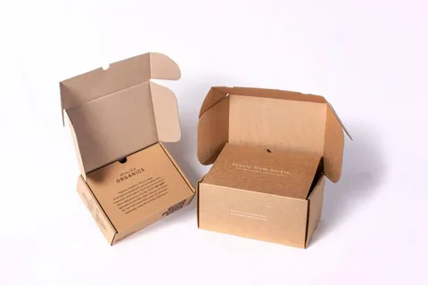 Exploring Innovative Business Ideas with Empanadas Boxes