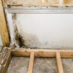 Is Outdated Insulation Harming Your Indoor Air Quality?
