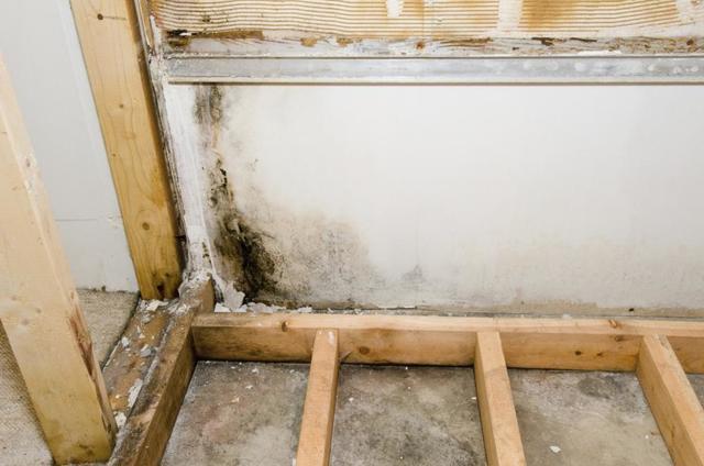 Is Outdated Insulation Harming Your Indoor Air Quality?