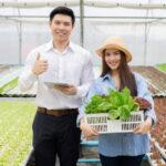 Why You Need a Hydroponic Consultant for Farming Projects