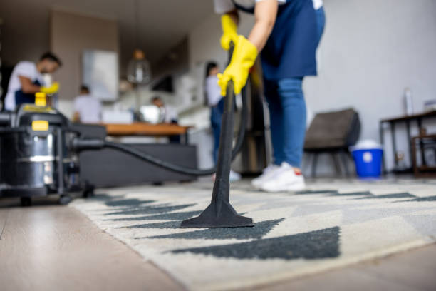 How to Maintain Your Carpets Between Professional Cleanings