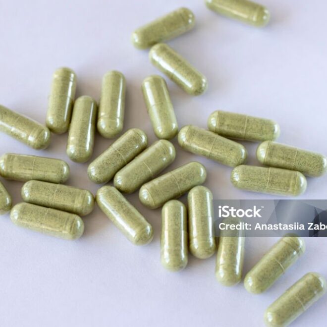 Top 7 Memory Enhancers in the Philippines: Why Bacopa Monnieri Stands Out