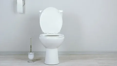 Blocked Toilets in Rochester: Causes, Solutions, and How to Prevent Future Clogs