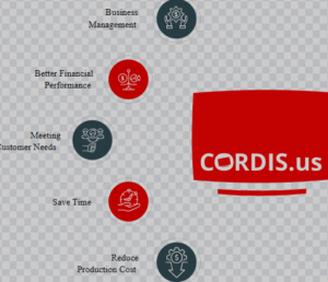 Choosing the Right Accounting Software in Saudi Arabia: A 2025 Guide