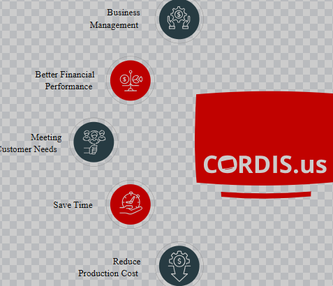 Choosing the Right Accounting Software in Saudi Arabia: A 2025 Guide