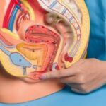 What Every Woman Should Know About Labiaplasty in 2025