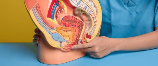 What Every Woman Should Know About Labiaplasty in 2025