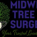 How Tree Planting Services Boost Your Home’s Curb Appeal