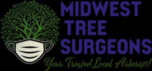 How Tree Planting Services Boost Your Home’s Curb Appeal