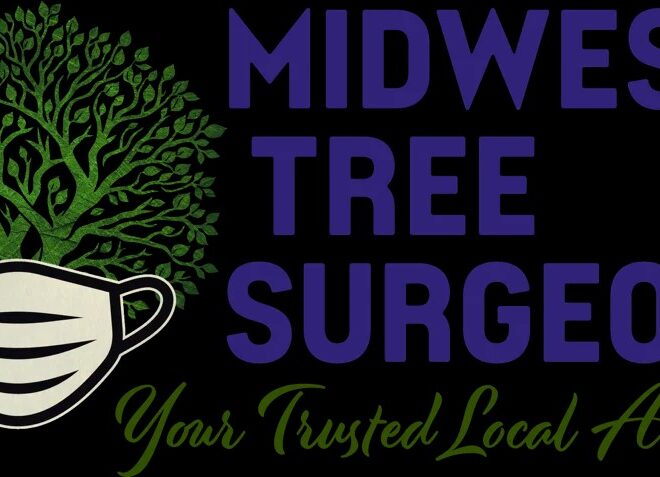 How Tree Planting Services Boost Your Home’s Curb Appeal