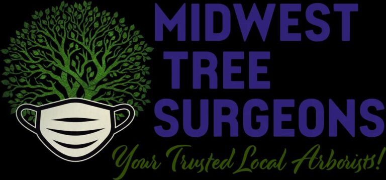 How Tree Planting Services Boost Your Home’s Curb Appeal