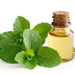 Peppermint Oil Bulk Suppliers & Manufacturers