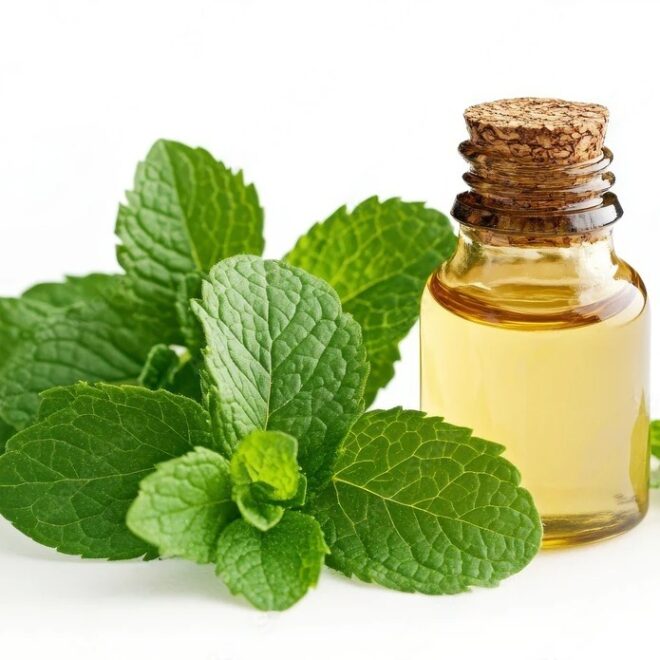 Peppermint Oil Bulk Suppliers & Manufacturers