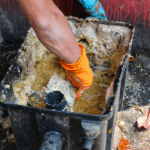 Why Professional Mold Removal is Important