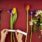 Why June Is the Best Month to Send Fresh-Cut Flowers?