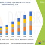 Expanding Frontiers in the Cardiac Mapping Market: Trends, Technologies