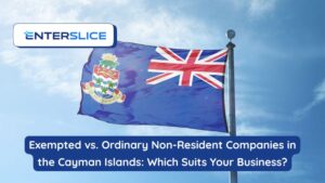 Exempted vs. Ordinary Companies in Cayman: Which Suits Your Business?