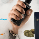 Experience Premium Wellness with High Society Vape Pens