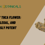 Mr Stinky THCa Flower: Loud, Legal, and Seriously Potent