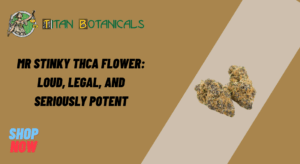 Mr Stinky THCa Flower: Loud, Legal, and Seriously Potent