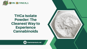 THCa Isolate Powder: The Cleanest Way to Experience Cannabinoids