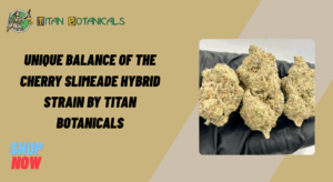 Unique Balance of the Cherry Slimeade Hybrid Strain by Titan Botanicals