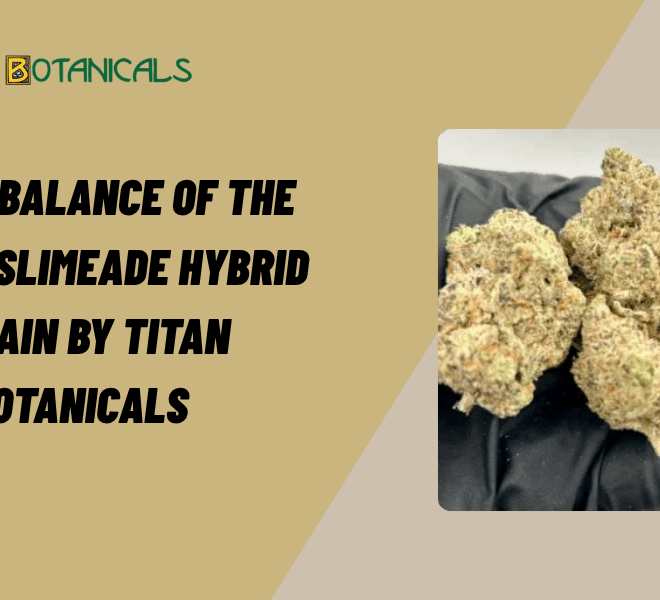 Unique Balance of the Cherry Slimeade Hybrid Strain by Titan Botanicals