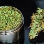 Weed Delivery in Guelph: The Ultimate Guide to Convenient Cannabis Access