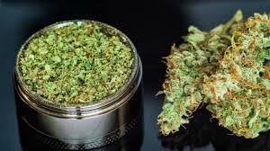 Weed Delivery in Guelph: The Ultimate Guide to Convenient Cannabis Access