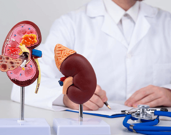 How to Choose the Best Kidney Transplant Surgeon in Jaipur: A Complete Guide