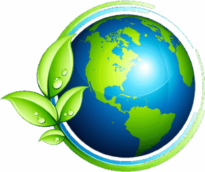 eco-friendly cleaning service
