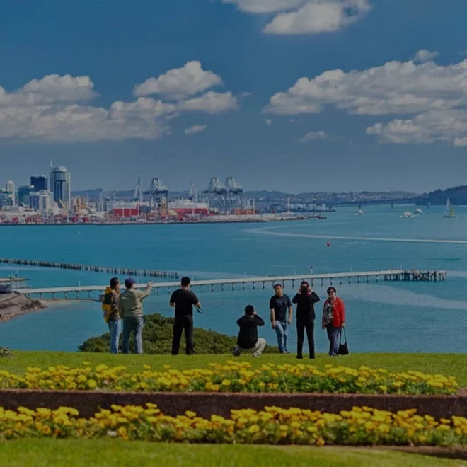 How Immigration Advisors NZ Help You Settle Smoothly in New Zealand