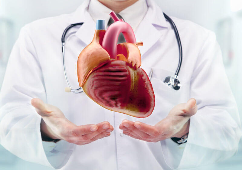 Best Cardiologist in Jaipur