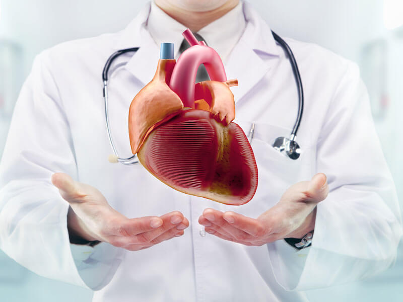 Best Cardiologist in Jaipur