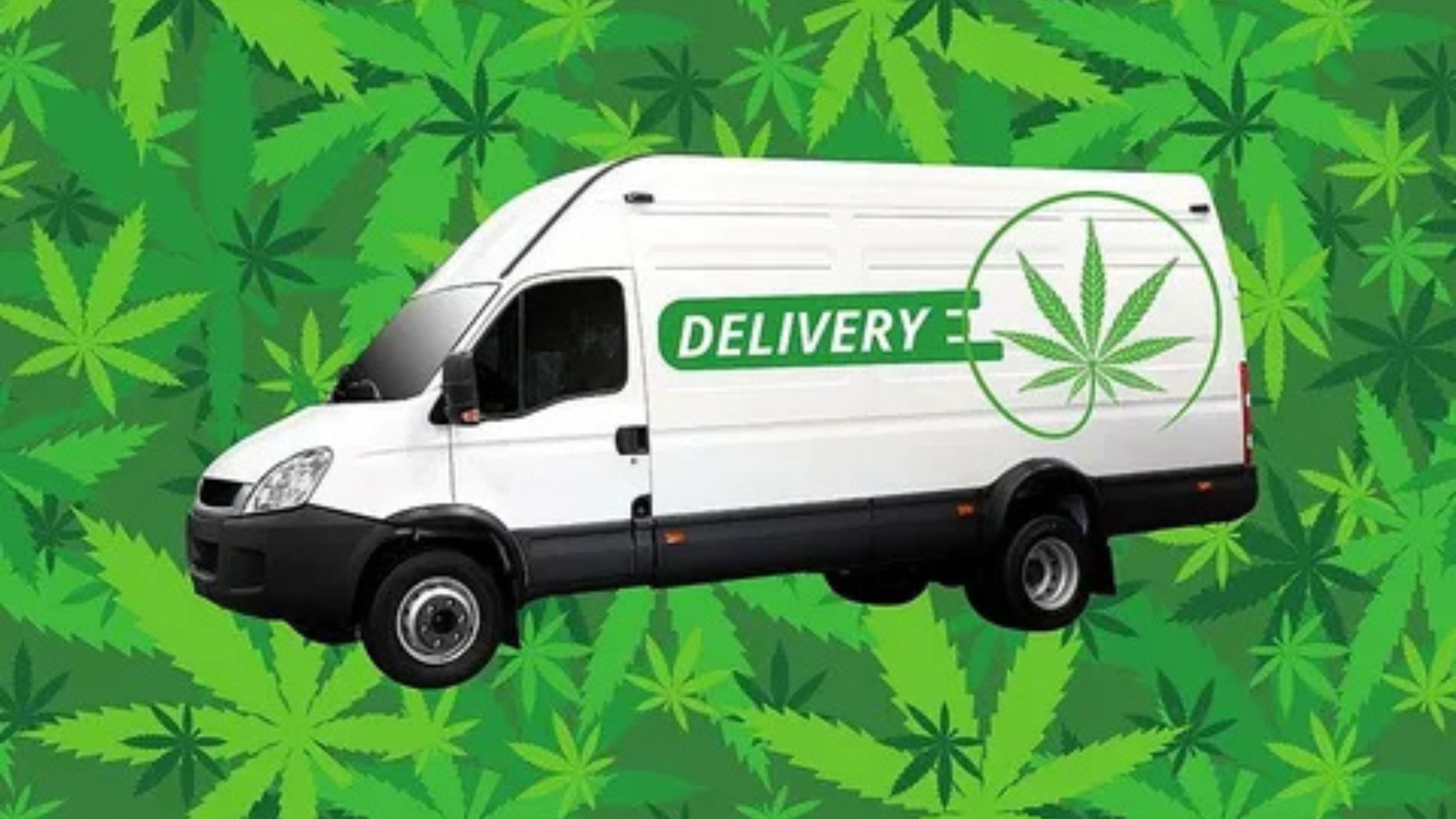 Cannabis delivery North York