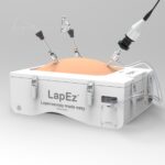 Search Engine Optimization Company: The True Reality Check Laparoscopic simulator