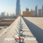 pegion spikes in dubai