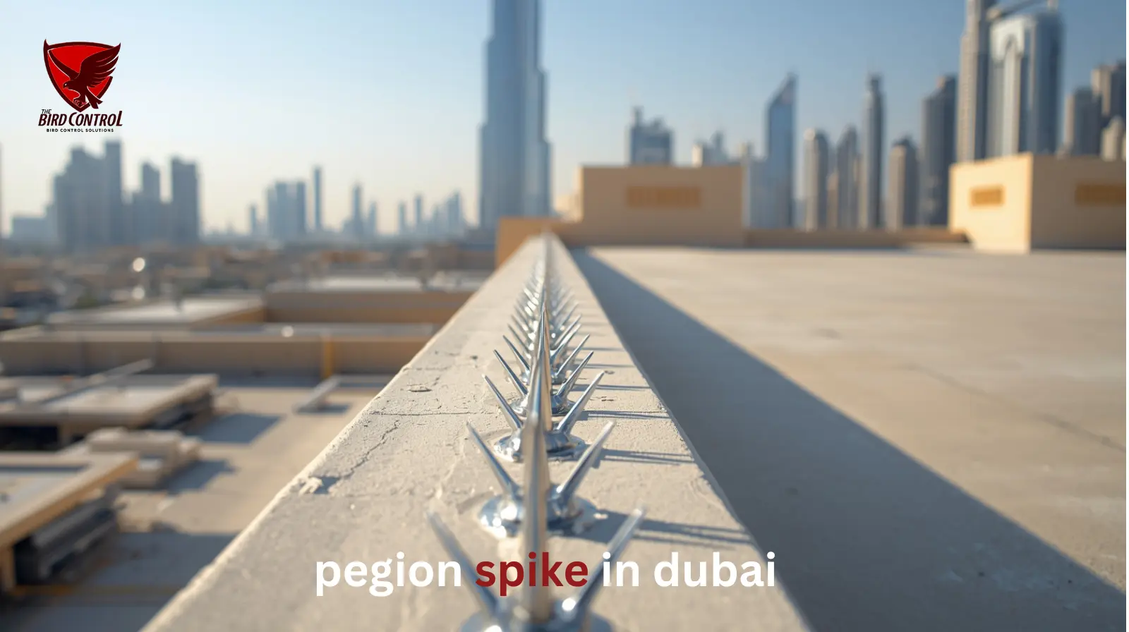 pegion spikes in dubai