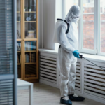 Live the Goan Dream: Villas in Goa for Sale and Stylish Apartments in North Goa Las Vegas Pest Control Services