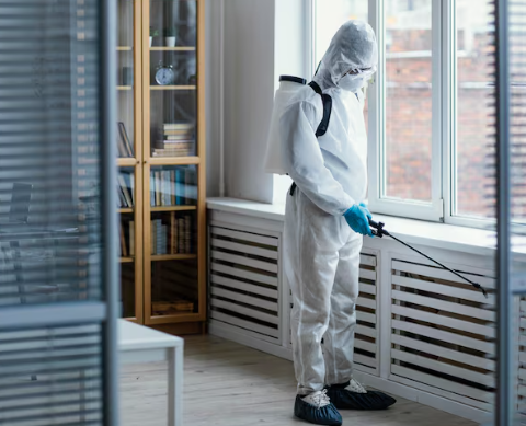 Las Vegas Pest Control Services