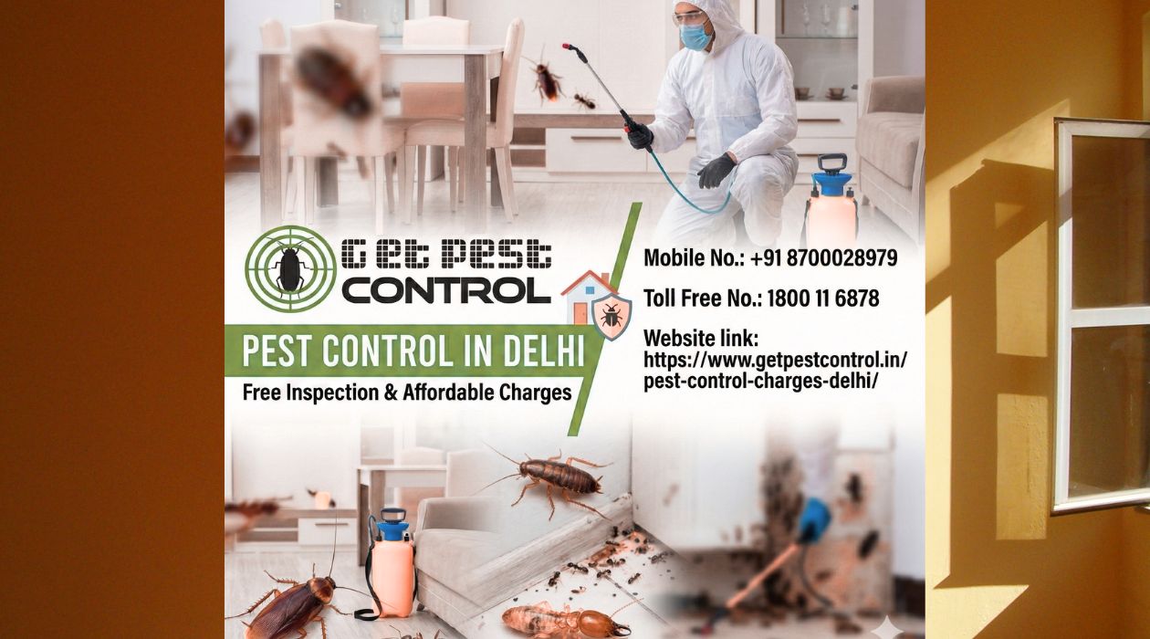Pest Control in Delhi | Free Inspection & Affordable Charges