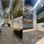 How to Choose Podiatrist-Recommended Shoes That Work With Your Custom Orthotics Benefits of Green Features in A Mall in Pakistan