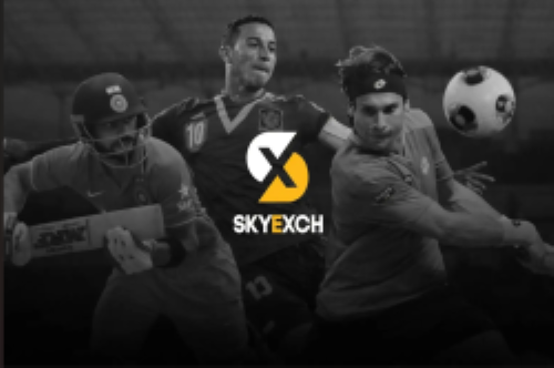 Skyexchange-banner