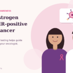 How Estrogen Drives the Growth of HR Positive Breast Cancer